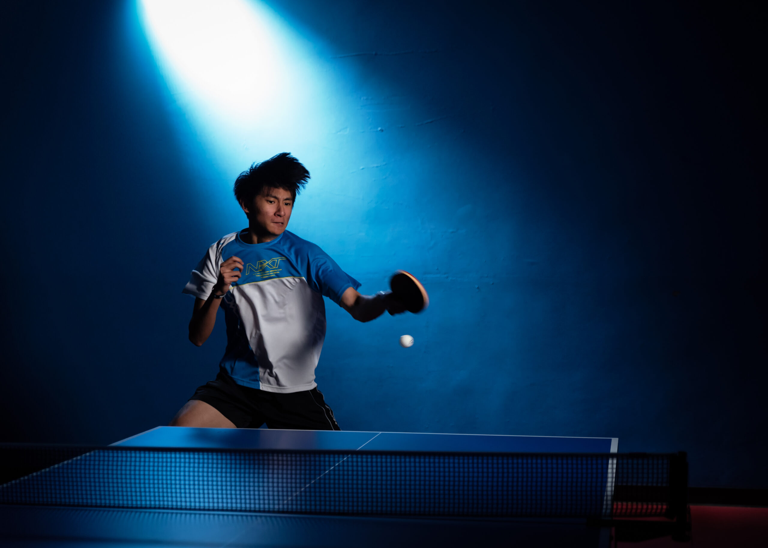 MINI PING PONG free online game on